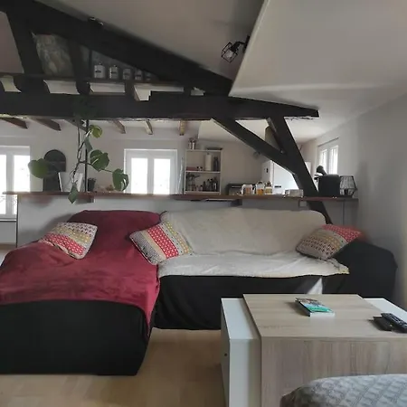 De Charme Coeur Historique Lejlighed *