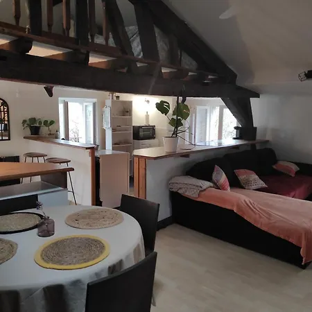 De Charme Coeur Historique Lejlighed